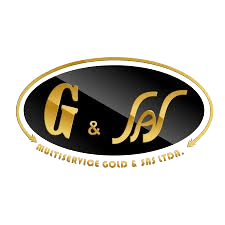 Multiservice Gold SAS